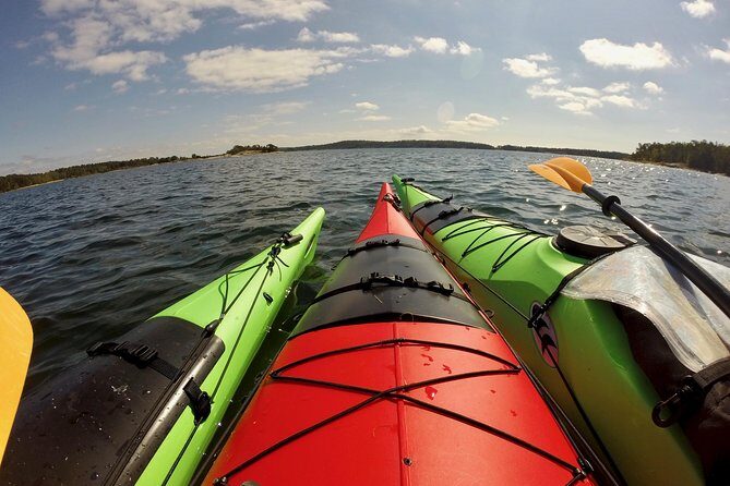 1-Day Small-Group Stockholm Archipelago Kayak Tour - Price and value: what $223.82 buys you