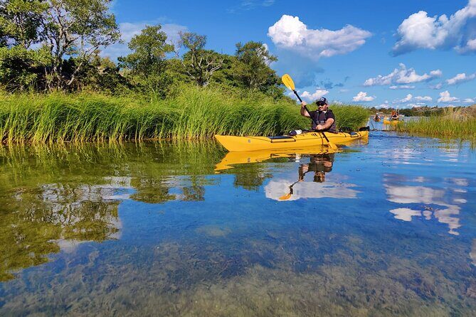 1-Day Small-Group Stockholm Archipelago Kayak Tour - Should you book this Stockholm archipelago kayak tour?
