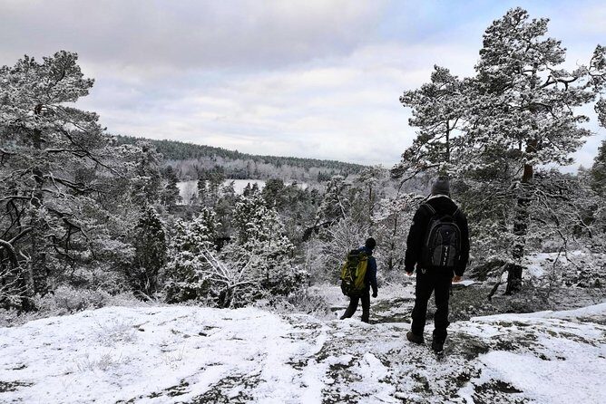 1-Day Small-Group Stockholm Nature Hiking - Key highlights to know before you go