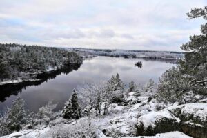 1-Day Small-Group Stockholm Nature Hiking - Why the max-eight group really changes the day