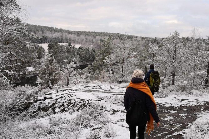 1-Day Small-Group Stockholm Nature Hiking - Price and value: is $153.87 fair for 5 hours?