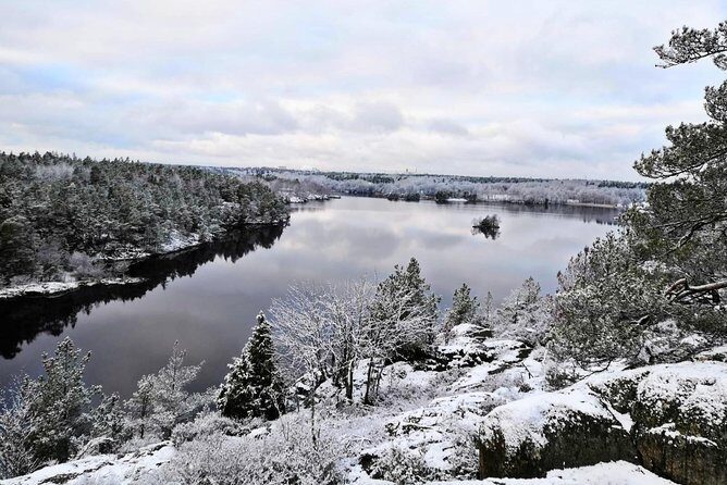 1-Day Small-Group Stockholm Nature Hiking - Why the max-eight group really changes the day