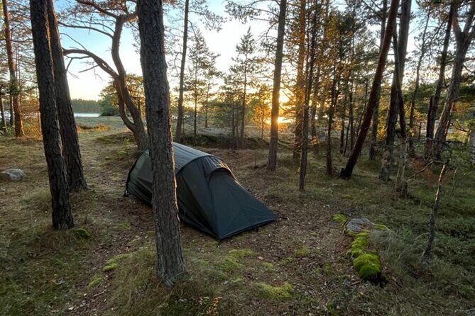 2-Day Kayak Tour in the Stockholm Archipelago - Late-afternoon shoreline pacing and setting camp for the night