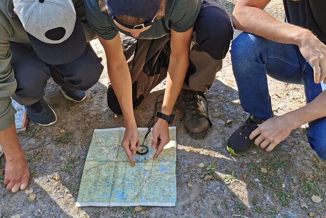 2-Day Small-Group Basic Skills Survival Course in Södermanland - Survival in the Swedish forest: it’s really about priorities