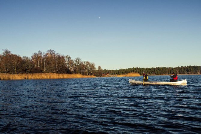 Canoe adventure in Stockholm Archipelago - Wildlife on the water: your best chances for beavers and coastal birds