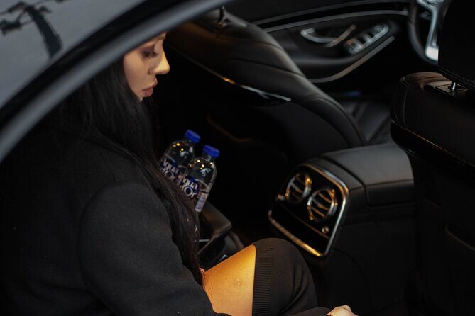 Cruise port VIP Transfer: Cruise port to Stockholm city center 1-6 Passangers - Who This VIP Transfer Is Best For