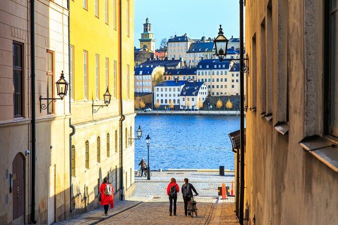 Drottningholm Palace Private Guided Tour - A tight 3-hour schedule that still feels complete