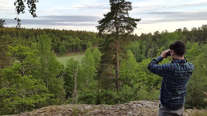 Evening Wildlife Safari Stockholm - Stockholm after dark: why this safari works so well
