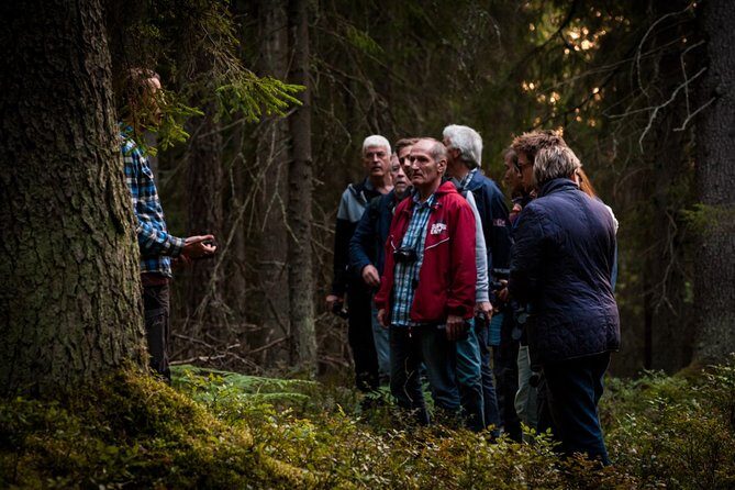 Evening Wildlife Safari Stockholm - Lundby parstuga forest walk: learning animal behavior on the ground