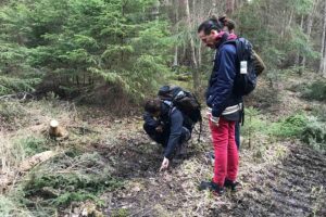 Evening Wildlife Safari with Campfire Dinner from Stockholm - Start Point in Stockholm and the Ride to Tyresta