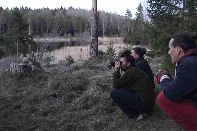 Evening Wildlife Safari with Campfire Dinner from Stockholm - Campfire Dinner Over a Wooden Fire: what it adds to the night