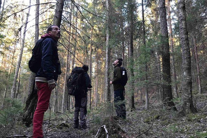 Evening Wildlife Safari with Campfire Dinner from Stockholm - What You Might See in Tyresta: animals and realistic expectations