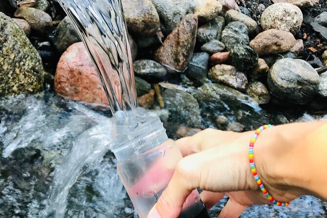 Forestbathing Slow Walking and Healing Spring Water, Stockholm - Forest-bathing in Nackareservatet: slow pace, pine air, and a real spring