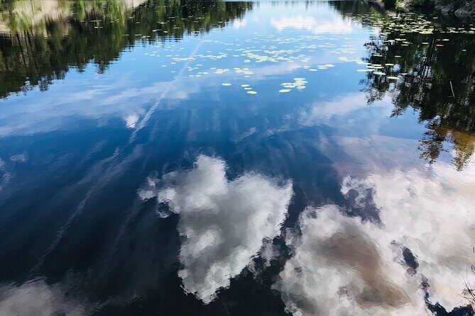 Forestbathing Slow Walking and Healing Spring Water, Stockholm - Guided grounding with Alexandra: what you’ll do in meditation time