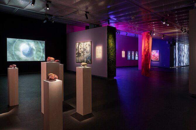 Fotografiska Stockholm Admission Ticket - Tickets, phone entry, and avoiding the usual redemption headaches