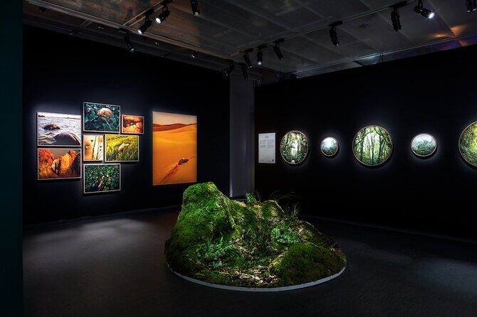 Fotografiska Stockholm Admission Ticket - Price and value: is $22.05 a good deal for Fotografiska?