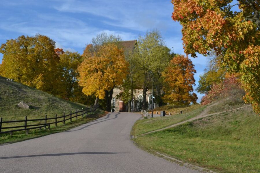 From Stockholm: Uppsala and Sigtuna Viking Sites Tour - Gamla Uppsala: burial mounds and the Midwinter blot legends