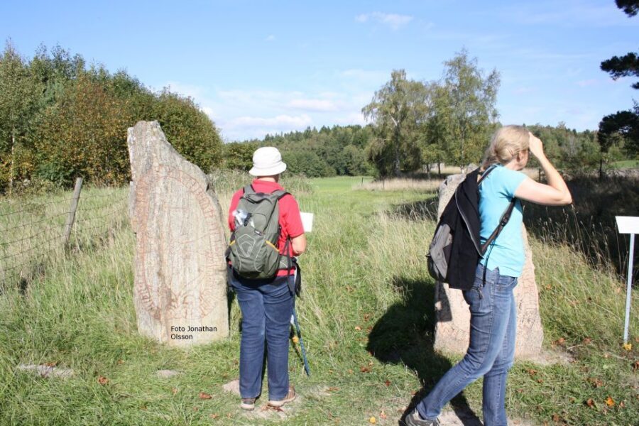 From Stockholm: Viking Culture and Heritage Small Group Tour - Arkils tingstad: the remains of a Viking Age parliament