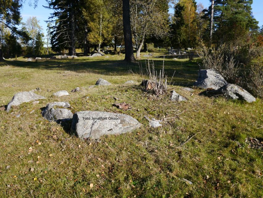 From Stockholm: Viking Culture and Heritage Small Group Tour - Pace and timing: a smart 3-hour format
