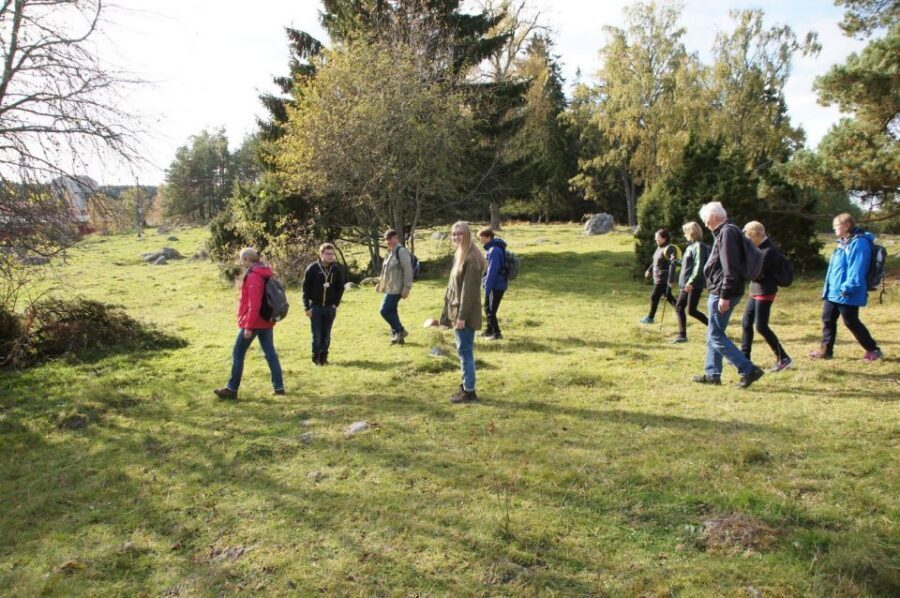 From Stockholm: Viking Culture Guided Tour with Transfer - Jarlabanki’s Causeway and the 150-Meter View You’ll Remember