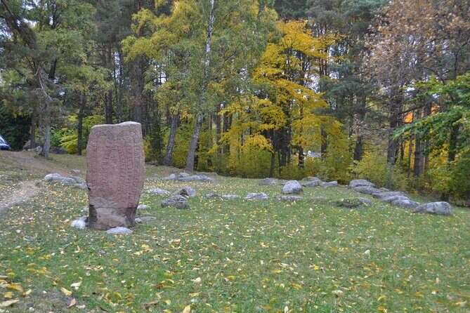 Full Day Viking Tour with Fika Swedish Coffee Break - How Long Is Too Long, and Who This Tour Fits Best