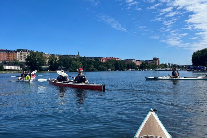 Guided Kayak Tour in Central Stockholm - Effort Level: Calm Channels vs Windy Chops