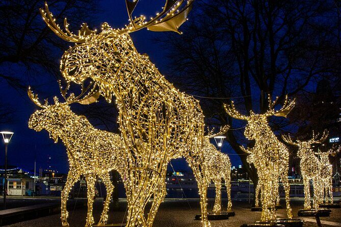 Guided Stockholm Christmas Tour - Group size, pace, and who this tour fits best