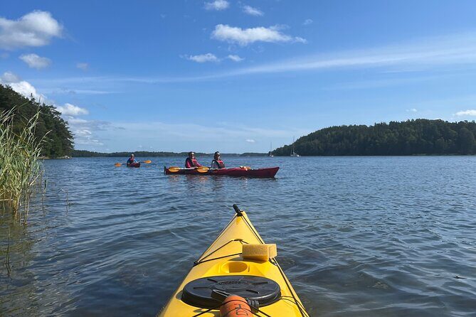 Kayak Tour in the Stockholm Archipelago with Lunch Meal - The paddling day itself: quiet islands, wildlife odds, and real breaks
