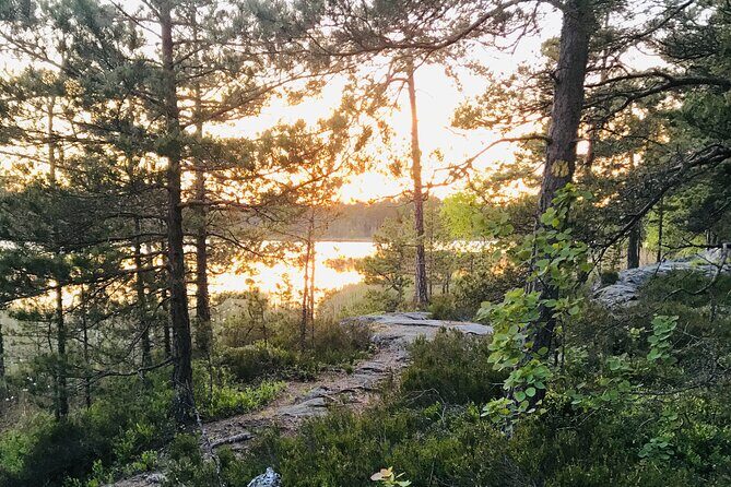 Midnight Sun and Campfire - National Park evening hike Stockholm - Stop at the forest lake: campfire dinner that brings people together