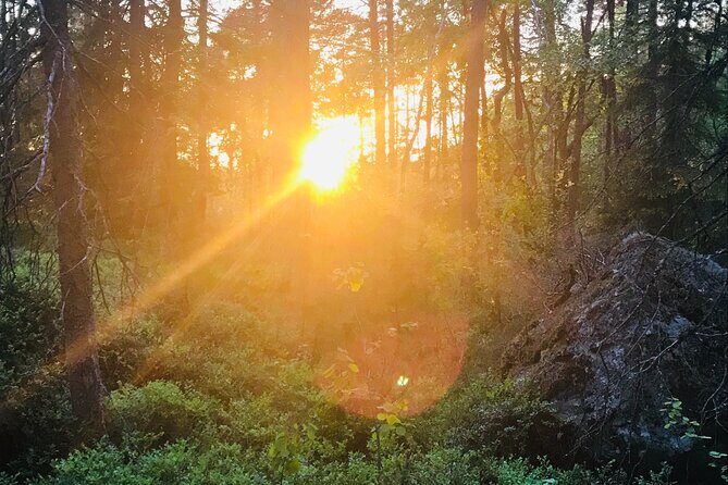 Midnight Sun and Campfire - National Park evening hike Stockholm - Who should book this and who should skip it
