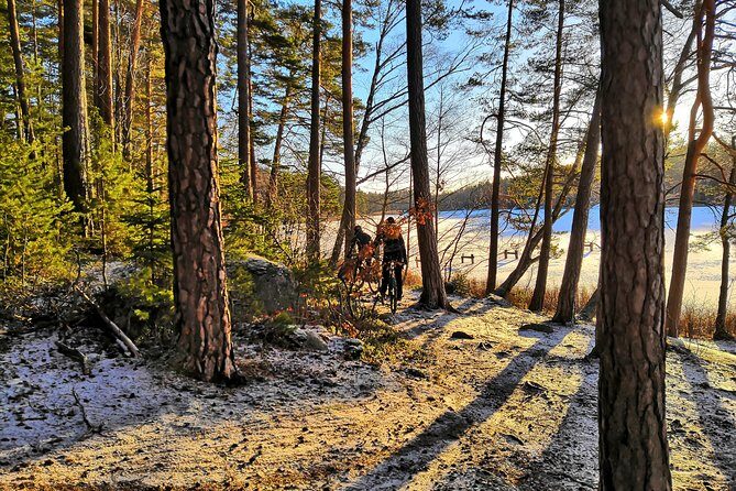 Mountain Biking Small-Group in Stockholm Forests for Beginners - Weather and comfort: the “good day outdoors” requirement