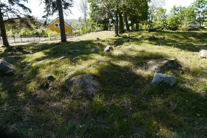 Private Full Day Viking History Tour from Stockholm Including Sigtuna and Uppsala - Uppsala Domkyrka: Big Nordic Cathedral, Big Swedish Power