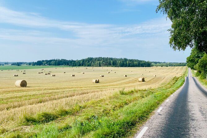 Private Roadbike Adventure in Stockholm - Meet Thomas: why the guide quality shows up in reviews