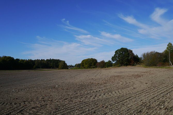 Private Tour: Swedish History Day Trip to World Heritage Candidate Markim-Orkesta from Stockholm - Viking and Christian Sweden, in One Neat Circuit North of Stockholm