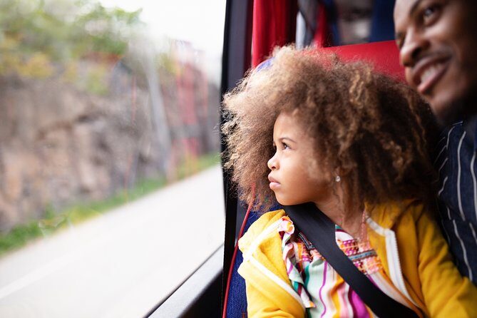 Skavsta Airport Bus Transfer - Is this good value at $28.87 per person?