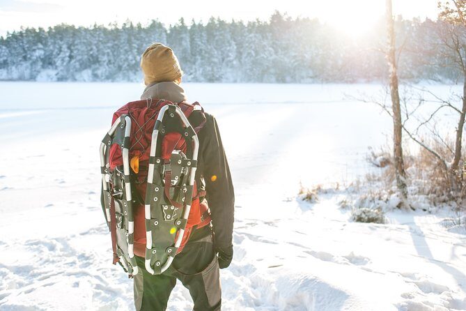 Snowshoe Winter Hike from Stockholm - Key highlights you’ll feel right away