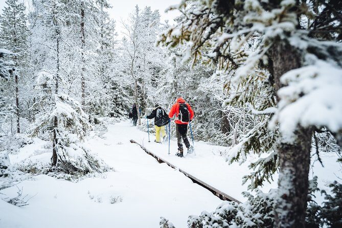 Snowshoe Winter Hike from Stockholm - The minibus ride: how the route adapts to snow and weather