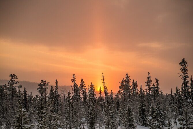 Snowshoe Winter Hike from Stockholm - First steps: the tutorial on snowshoes/cleats, binoculars, and forest etiquette