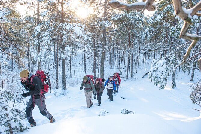Snowshoe Winter Hike from Stockholm - A comfortable pace hike where the guide teaches what you’re walking through