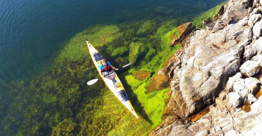 Stockholm: 1, 2, or 3-Day Kayaking Tour in the Archipelago - Key Highlights Worth Your Time
