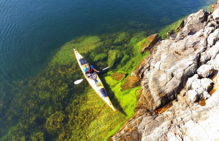 Stockholm: 1, 2, or 3-Day Kayaking Tour in the Archipelago - Food on Deserted Islands: Why It’s More Than a Picnic