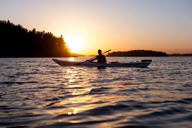 Stockholm Archipelago Sunset Kayaking and Fika tour - A 6:00 pm sea-kayak plan that turns the Stockholm coastline into a story
