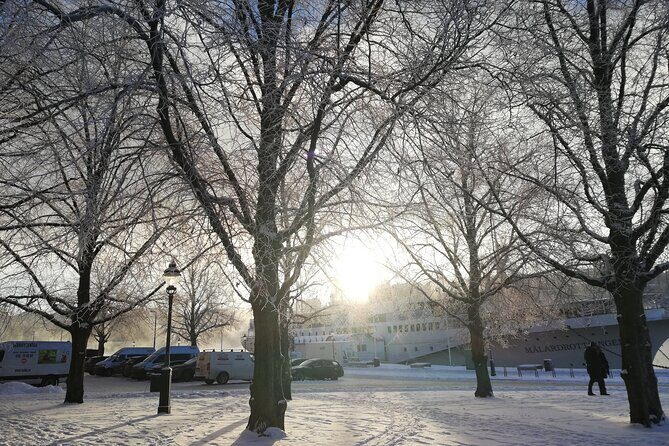 Stockholm Christmas Tour and Food Tasting Experience - Price and value: what $59.39 is really paying for