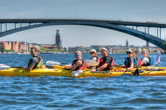 Stockholm City Kayak Tour - Winter 4-Hour Tours: Drysuit Layers, Warm Drinks, and Cold-Water Planning