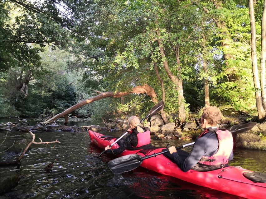 Stockholm Evening Kayak with BBQ. - The Island Beach BBQ: Sunset Dinner With a Swim Option