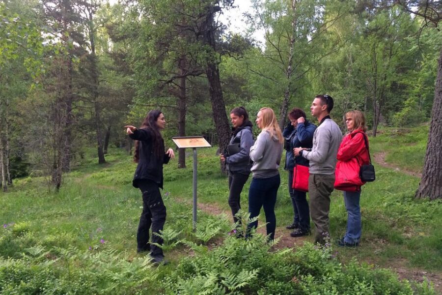 Stockholm: Evening Wildlife Safari with Midsummer Meal - Practical Tips That Actually Help