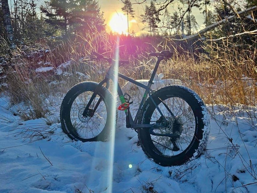 Stockholm: Fat Bike Forest Adventure with Lunch and Sauna - Why Fat Bikes in the Swedish Woods Make Sense