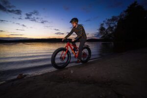 Stockholm: Fat Bike Forest Adventure with Lunch and Sauna - Gear That Makes the Difference: Fat Bikes and Winter-Ready Protection