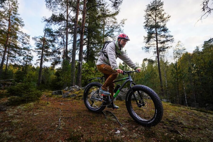 Stockholm: Fat Bike Forest Adventure with Lunch and Sauna - The Forest Café Break: Lunch With a Lake View