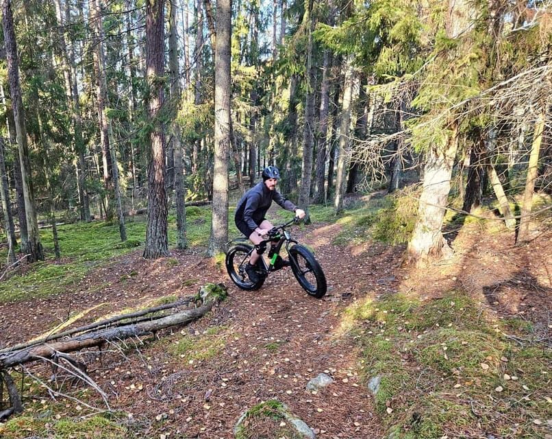 Stockholm: Fat Bike Forest Adventure with Lunch and Sauna - Group Size, Guide Style, and Learning Along the Way